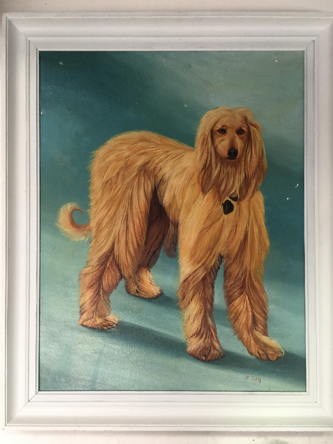 ARTWORK, Portrait Dog (Large) - Afghan